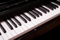 Montford MFDP12 Upright Digital Piano