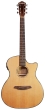Rathbone No.3 - Sitka Spruce/Rosewood E/Cut