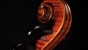 J. Thibouville-Lamy Violin 4/4 - Barnabetti