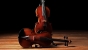 J. Thibouville-Lamy Violin 4/4 - Barnabetti