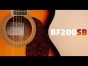 Brunswick BF200SB - Grand Auditorium Acoustic Guitar, Sunburst