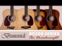 Brunswick BD200 Dreadnought Series of Acoustic Guitars