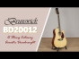 Brunswick BD20012 12 String Cutaway Acoustic Dreadnought Guitar