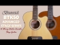 Brunswick BTK50 12-String Electro Acoustic Advanced Stage Guitar
