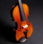 J.T.L Violin 4/4 Violons de Maître - Guarnerius