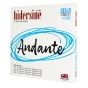 Hidersine Andante Cello String SET 1/2