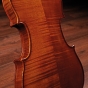 J. Thibouville-Lamy Violin 4/4 - Sarasate Élève 