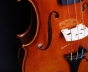 J.T.L Violin 4/4 Violons de Maître - Guarnerius